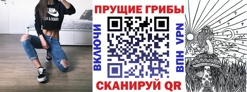 Псилоцибиновые грибы мицелий  где найти   Сысерть 